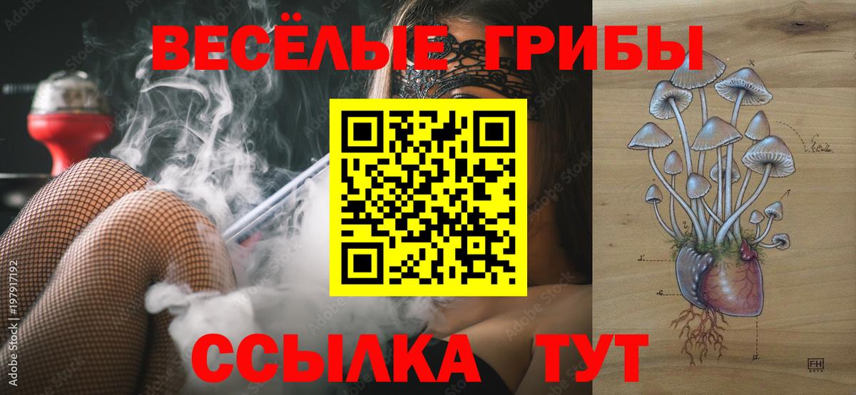 Галлюциногенные грибы мухоморы Ростов-на-Дону