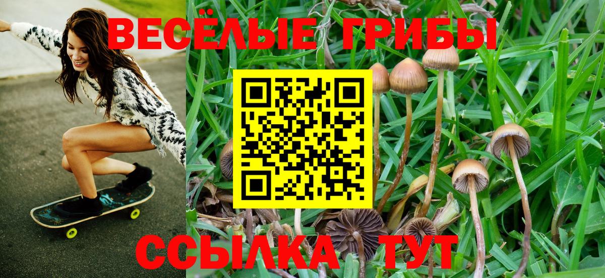 Ростов-на-Дону  Псилоцибиновые грибы GOLDEN TEACHER  Вход с VPN 